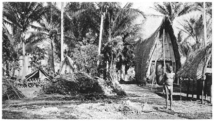 The Chief's Lisiga (Personal Hut) in Omarakana.