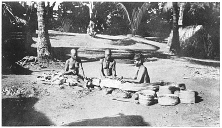 Rolls of Dried Pandanus Leaf