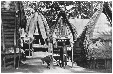 Kouta'uya, one of the Chiefs of Sinaketa