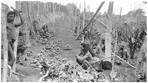 A Rite of Garden Magic.