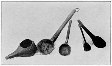 Gourd and wooden spoons
