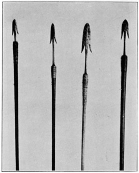 Bontoc war spears (fal-fĕg′)