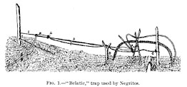 FIG. 1.—“Belatic,” trap used by Negritos.