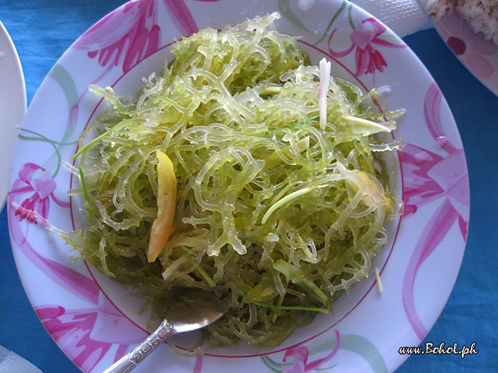Guso Salad