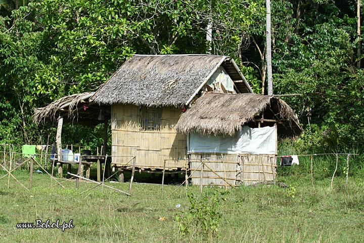 Native Cottage