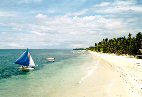 Palau on Alona Beach