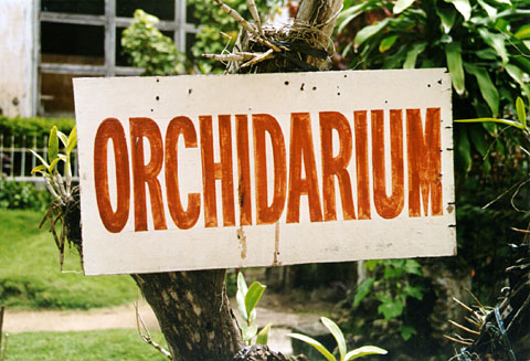 Orchidarium