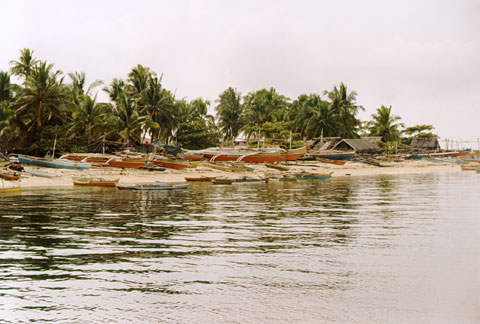 Pamilacan Island Beach