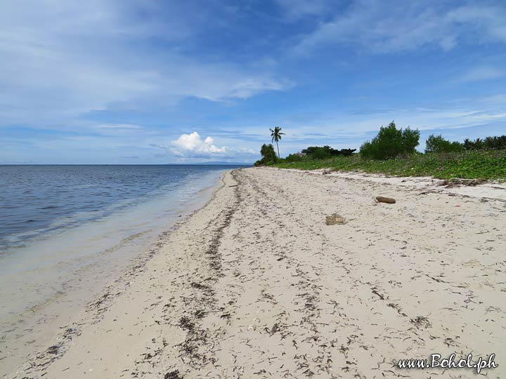 Along the Beach, Pamilacan Island