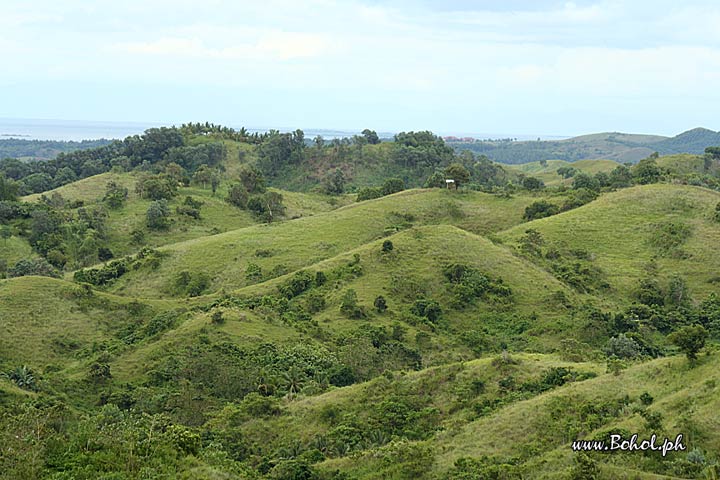 Bohol's landscape