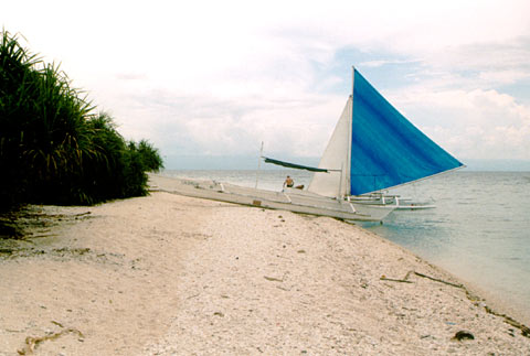 Palau on the Beach on Balicasag Island